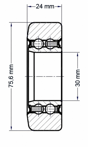 Technische Zeichnung der Hubmastrolle LIN0020, 30 × 75,6 × 24 mm